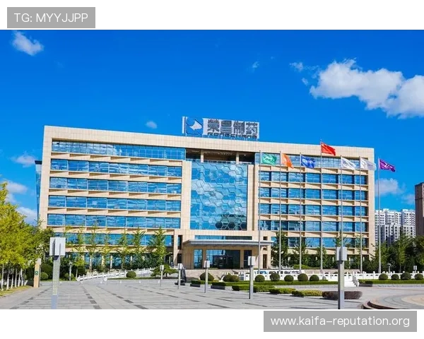 凯发集团网站首页常见问题解答与用户指南，帮助新手快速上手畅玩无障碍